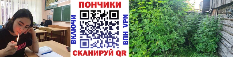 Купить где  Лебедянь  Марихуана тримм 